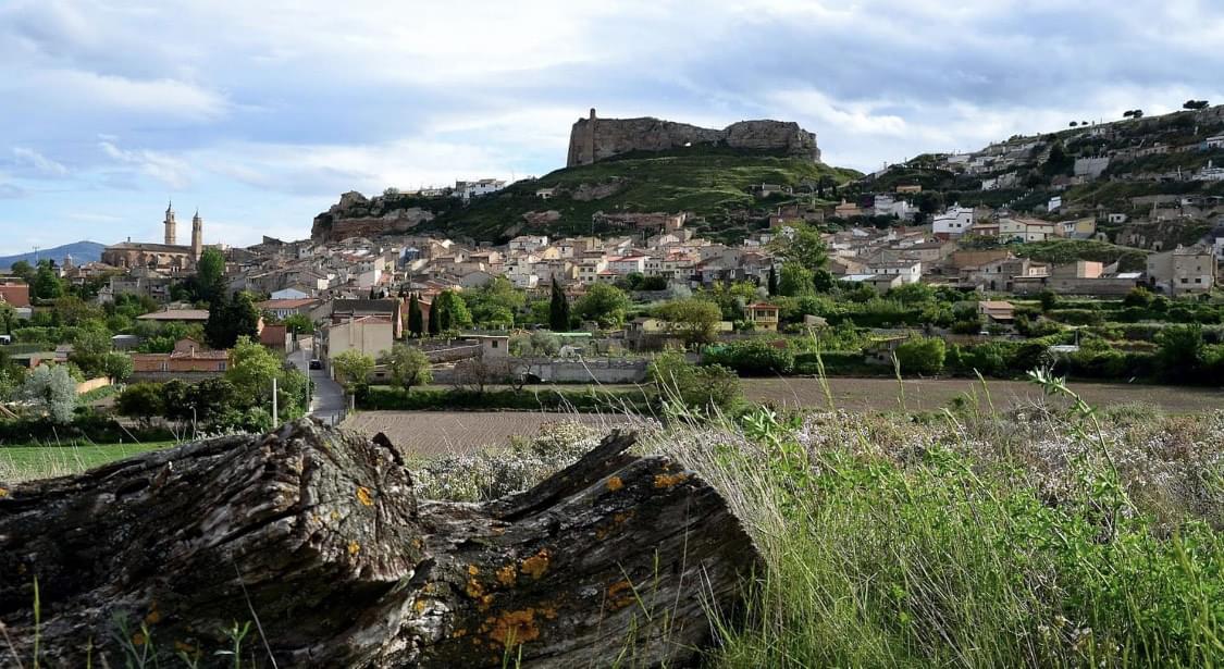 imagen medio ambiente